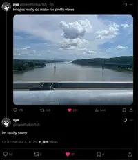 1751514562772h.webp